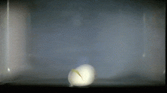  她的眼许早已分裂