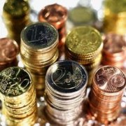 <b>简介:种植无机茶是当前市场上的抢手趋向之一</b>